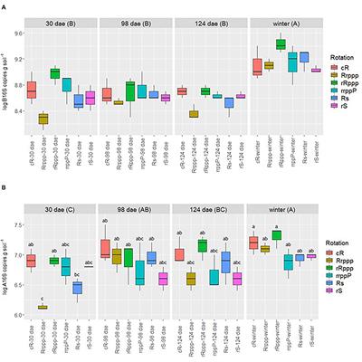 Season and No-Till Rice Crop Intensification Affect Soil Microbial Populations Involved in CH4 and N2O Emissions